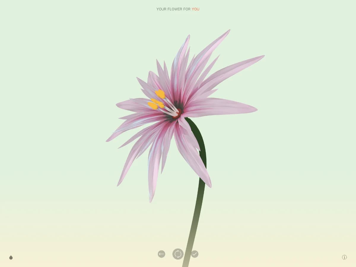 Wildflower website preview by Resn