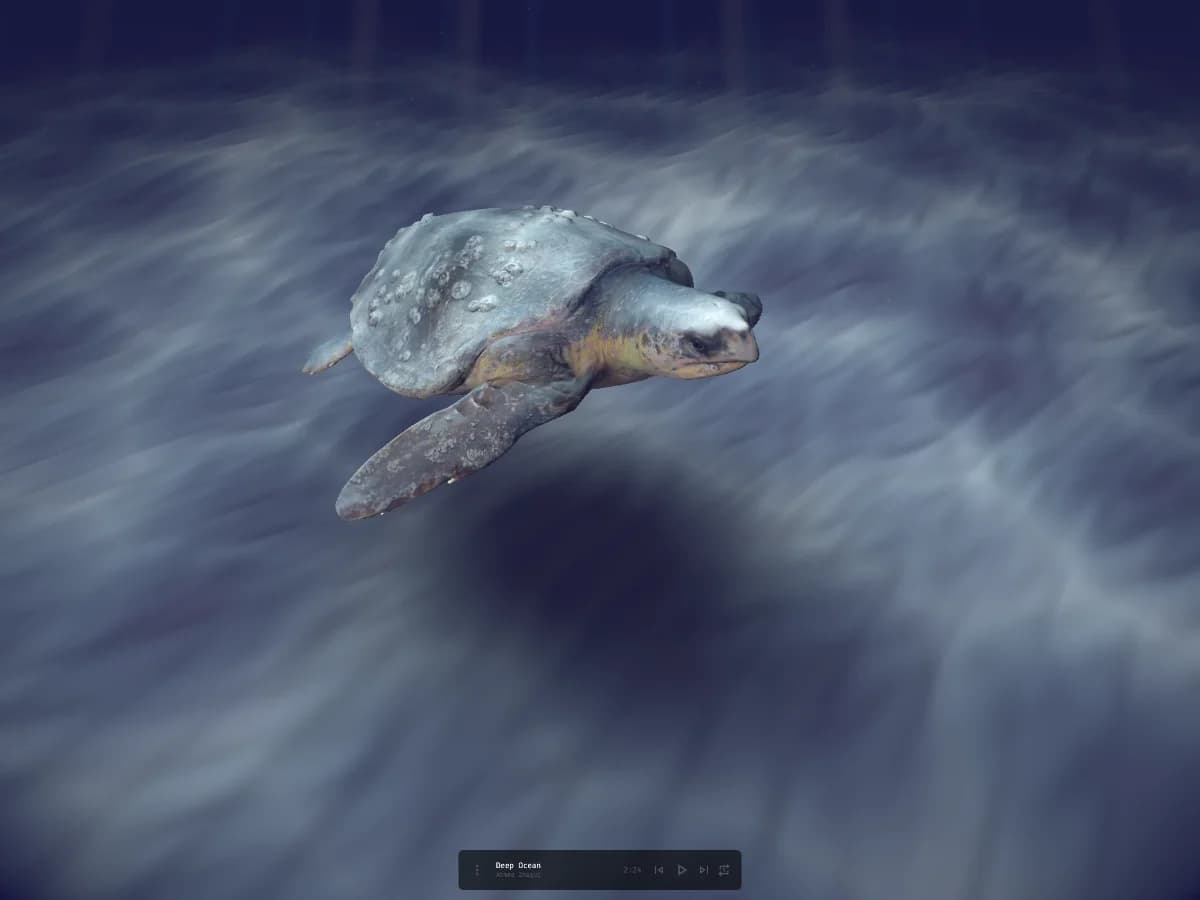 RELAX YOUR MIND website preview by Gianluca Lomarco