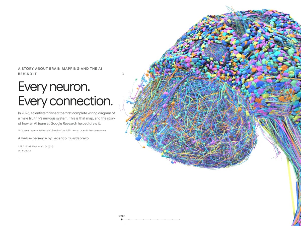 Every neuron, every connection website preview by Federico Guardabrazo