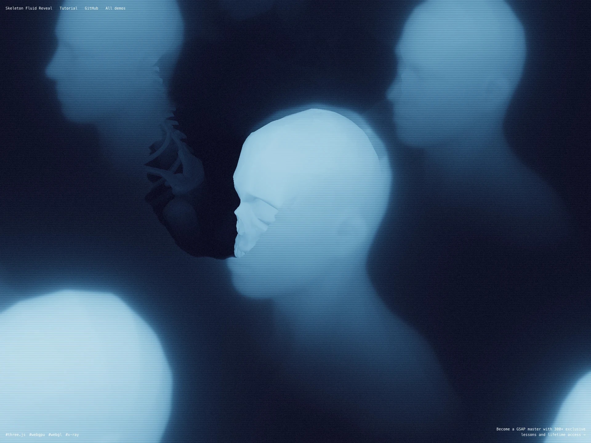 Skeleton Fluid Reveal | Codrops