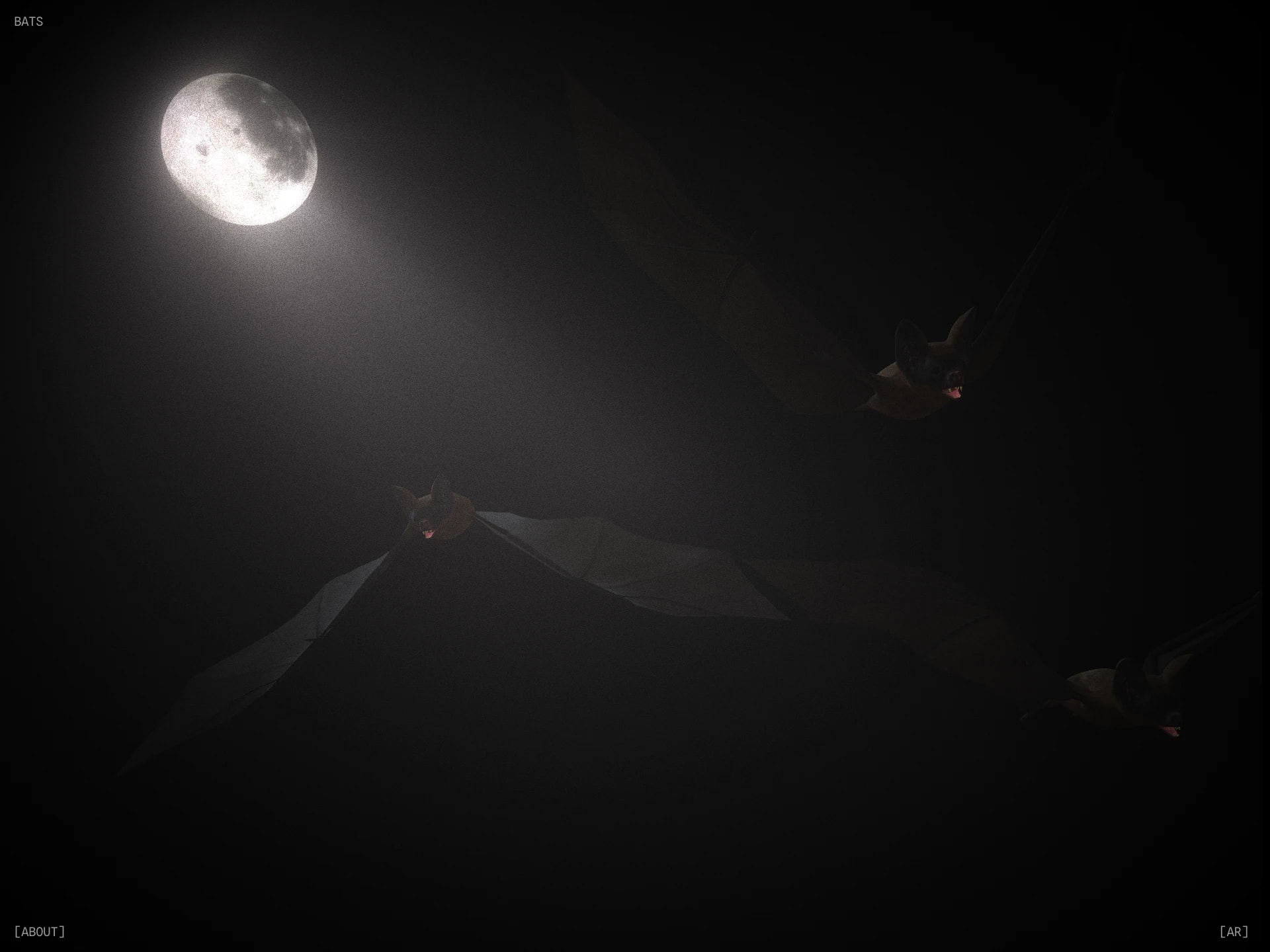 Bats