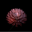 Bloom favicon