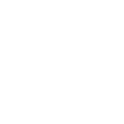 MSI - The Egg Hunt favicon